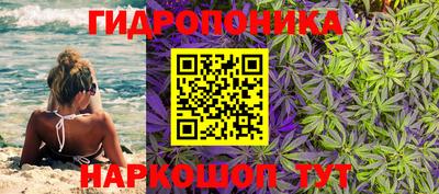 прущие крисы Новозыбков