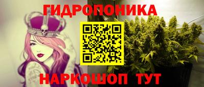 ECSTASY Обь