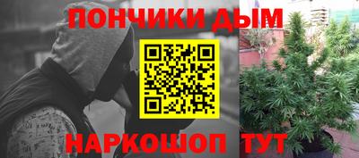 прущие крисы Новозыбков