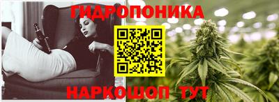 прущие крисы Новозыбков